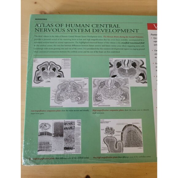 The Human Brain During the Second Trimester Hardcover Book Shirley Bayer Sealed - Picture 9 of 10